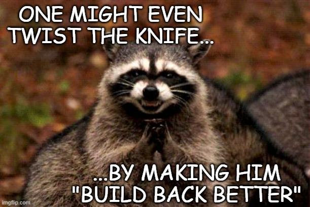 ONE MIGHT EVEN TWIST THE KNIFE... ...BY MAKING HIM "BUILD BACK BETTER" | image tagged in memes,evil plotting raccoon | made w/ Imgflip meme maker