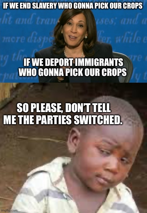 Just admit it, parties ain’t switch | IF WE END SLAVERY WHO GONNA PICK OUR CROPS; IF WE DEPORT IMMIGRANTS WHO GONNA PICK OUR CROPS; SO PLEASE, DON’T TELL ME THE PARTIES SWITCHED. | image tagged in kamala harris deflection,african boy,politics,memes | made w/ Imgflip meme maker
