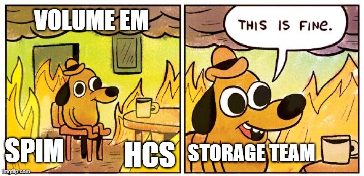 Better make copies of your data on that fileserver | VOLUME EM; SPIM; HCS; STORAGE TEAM | image tagged in memes,this is fine,microscopy | made w/ Imgflip meme maker