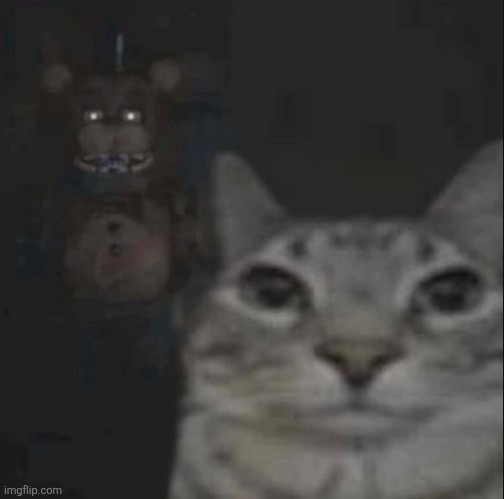 image tagged in cat is cooked by freddy | made w/ Imgflip meme maker