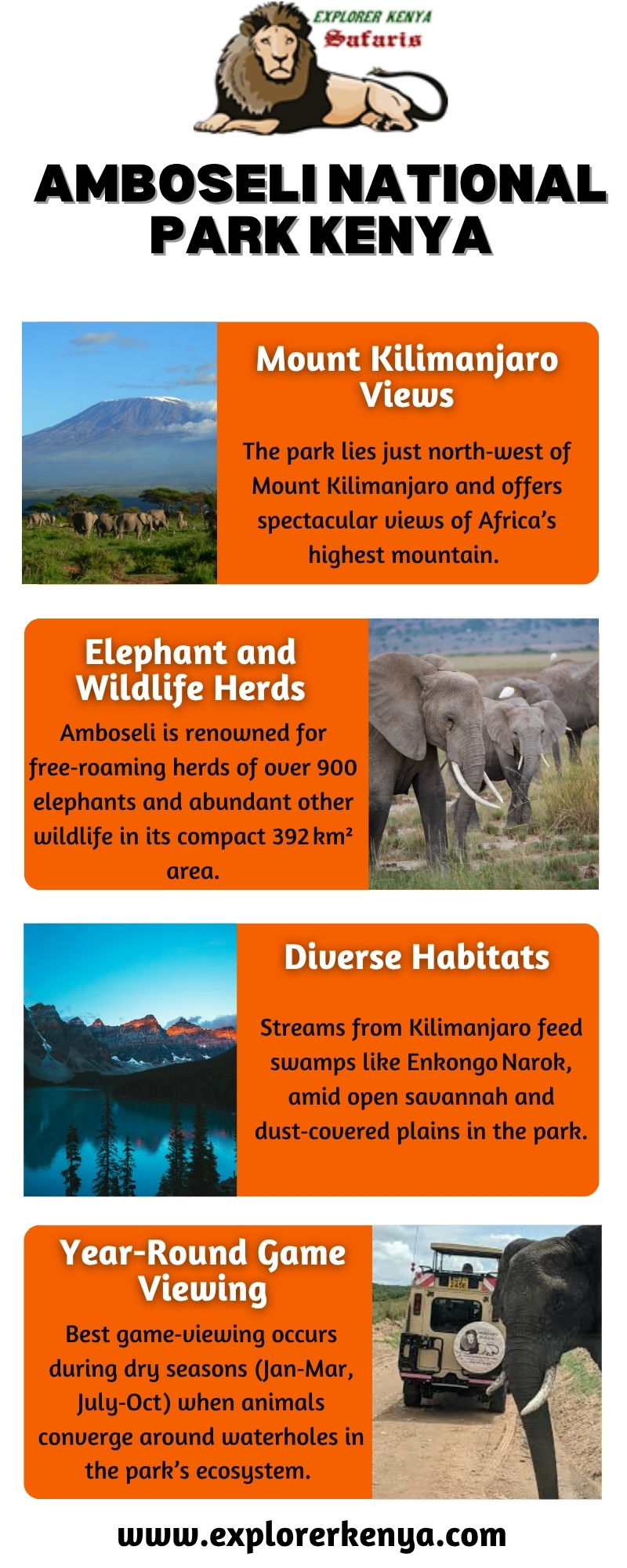 Amboseli National Park Kenya Blank Meme Template