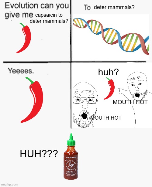 Evolution can you give me... | deter mammals? capsaicin to deter mammals? huh? MOUTH HOT; MOUTH HOT; HUH??? | image tagged in evolution can you give me | made w/ Imgflip meme maker