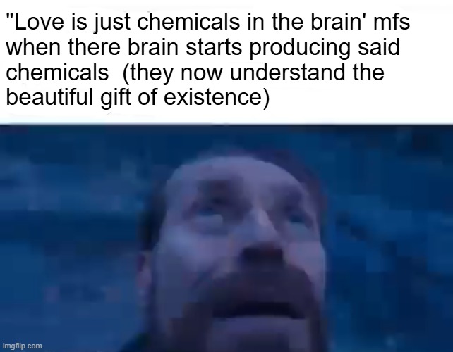 Never forget that life if a gift, regardless of whether you're religious or an atheist | "Love is just chemicals in the brain' mfs 
when there brain starts producing said 
chemicals  (they now understand the 
beautiful gift of existence) | image tagged in wholesome,memes | made w/ Imgflip meme maker