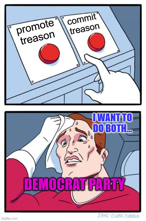 Two Buttons | commit 
treason; promote treason; I WANT TO DO BOTH... DEMOCRAT PARTY | image tagged in memes,two buttons | made w/ Imgflip meme maker