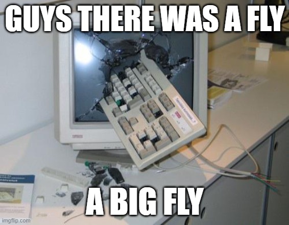 there was a fly | GUYS THERE WAS A FLY; A BIG FLY | image tagged in fly,keyboard | made w/ Imgflip meme maker