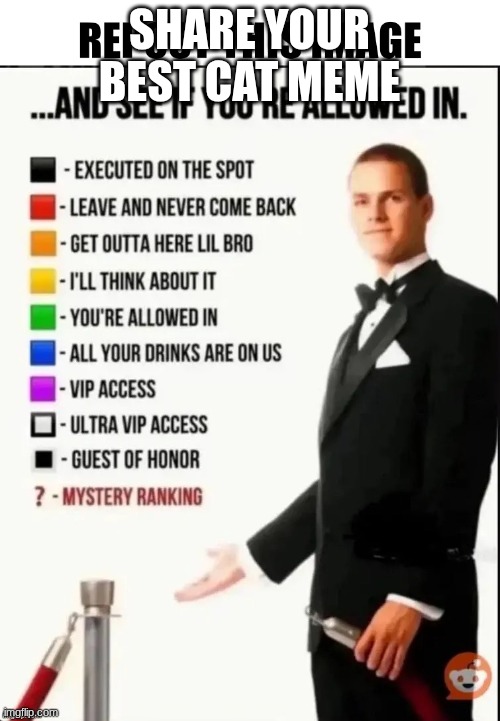 share ur best cat meme | SHARE YOUR BEST CAT MEME | image tagged in repost this image and see if you re allowed in | made w/ Imgflip meme maker