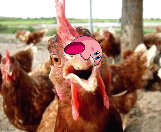 Meme Draw Chicken Imgflip