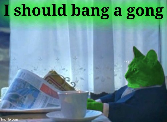 I Should Buy a Boat RayCat | I should bang a gong | image tagged in i should buy a boat raycat | made w/ Imgflip meme maker
