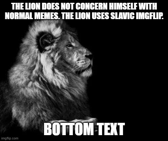 the lion.. | THE LION DOES NOT CONCERN HIMSELF WITH NORMAL MEMES. THE LION USES SLAVIC IMGFLIP. BOTTOM TEXT | image tagged in the lion,slavic imgflip,slavic lives matter,black lives matter | made w/ Imgflip meme maker