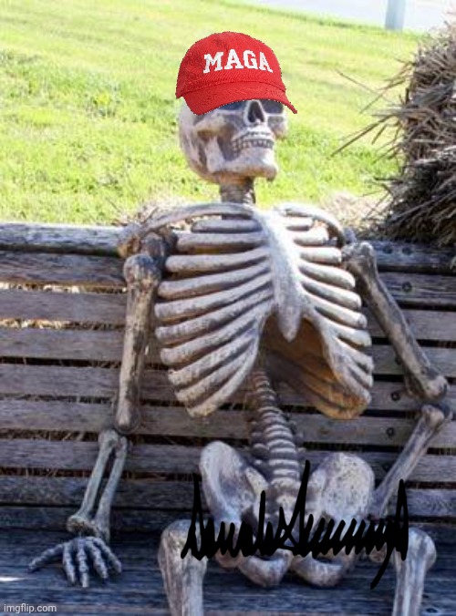image tagged in memes,waiting skeleton | made w/ Imgflip meme maker