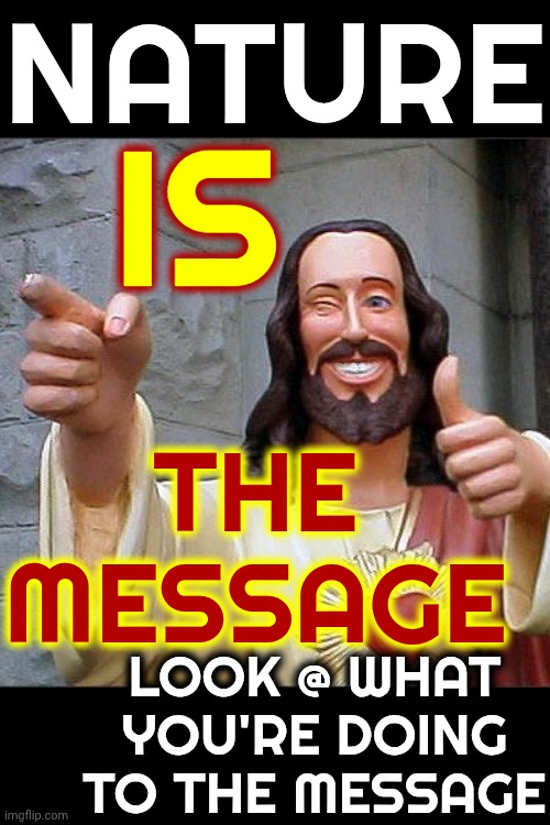 At The Very, Very LEAST Plant A Tree | NATURE; IS; THE MESSAGE; LOOK @ WHAT YOU'RE DOING TO THE MESSAGE | image tagged in memes,buddy christ,nature,mother nature,save the earth,peace on earth | made w/ Imgflip meme maker