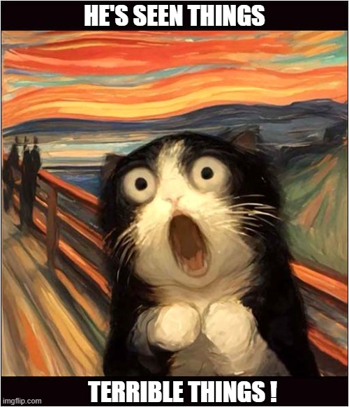 The Cat Scream ! | HE'S SEEN THINGS; TERRIBLE THINGS ! | image tagged in cats,the scream | made w/ Imgflip meme maker