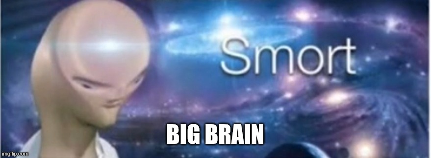 Meme man smort | BIG BRAIN | image tagged in meme man smort | made w/ Imgflip meme maker