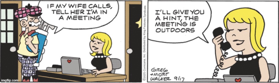 Beetle Bailey | image tagged in comics | made w/ Imgflip meme maker