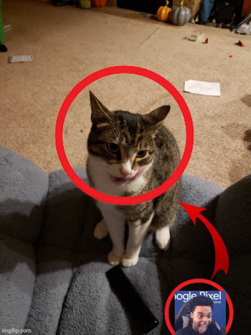 Freaky ahh cat | made w/ Imgflip meme maker