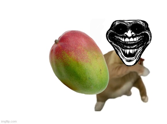 those who throw | image tagged in throwing cat new | made w/ Imgflip meme maker