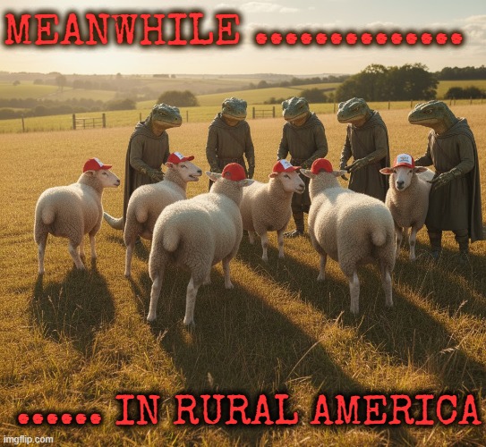 MEANWHILE........... IN RURAL AMERICA | MEANWHILE .............. ...... IN RURAL AMERICA | image tagged in rural,maga,trump,sheep,reptoid,cult | made w/ Imgflip meme maker
