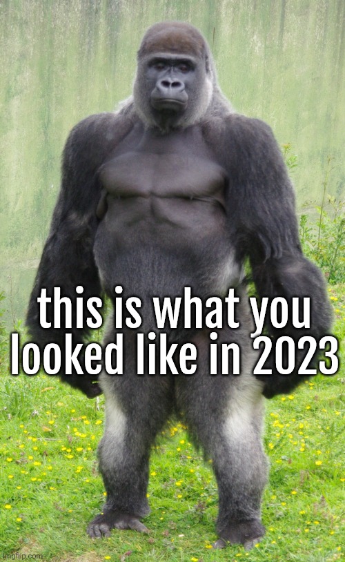 Gorilla standing up straight | this is what you looked like in 2023 | image tagged in gorilla standing up straight | made w/ Imgflip meme maker