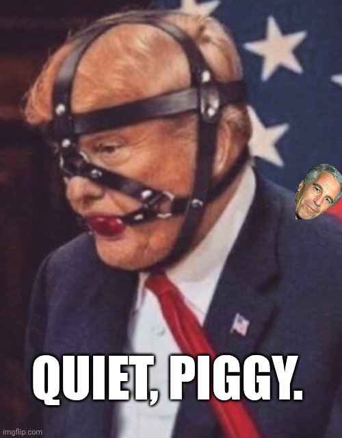 Misogyny will not be tolerated | QUIET, PIGGY. | image tagged in donald trump ball gag,misogyny,pedophile,epstein files,jeffrey epstein | made w/ Imgflip meme maker