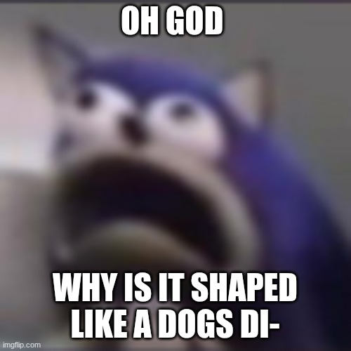 distress | OH GOD WHY IS IT SHAPED LIKE A DOGS DI- | image tagged in distress | made w/ Imgflip meme maker