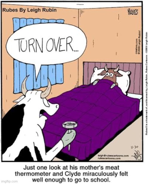 Rubes | image tagged in comics,rubes,cows,meat thermometer,not really sick,mother | made w/ Imgflip meme maker