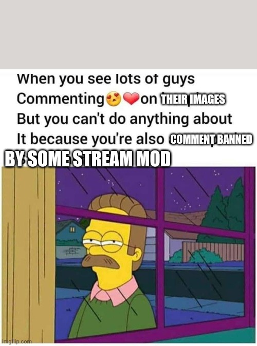 THEIR IMAGES; COMMENT BANNED; BY SOME STREAM MOD | image tagged in ned flanders | made w/ Imgflip meme maker