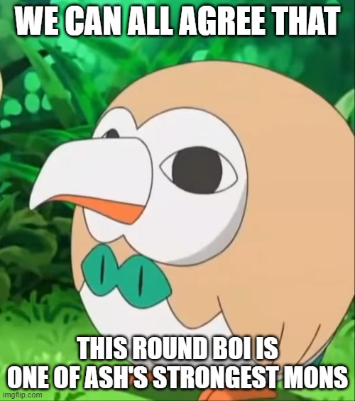 i f**kin love rowlet | WE CAN ALL AGREE THAT; THIS ROUND BOI IS ONE OF ASH'S STRONGEST MONS | image tagged in xatu rowlet,rowlet,pokemon,nintendo,videogames,anime | made w/ Imgflip meme maker