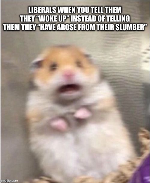 The key word is WOKE. | LIBERALS WHEN YOU TELL THEM THEY “WOKE UP” INSTEAD OF TELLING THEM THEY “HAVE AROSE FROM THEIR SLUMBER” | image tagged in scared hamster | made w/ Imgflip meme maker