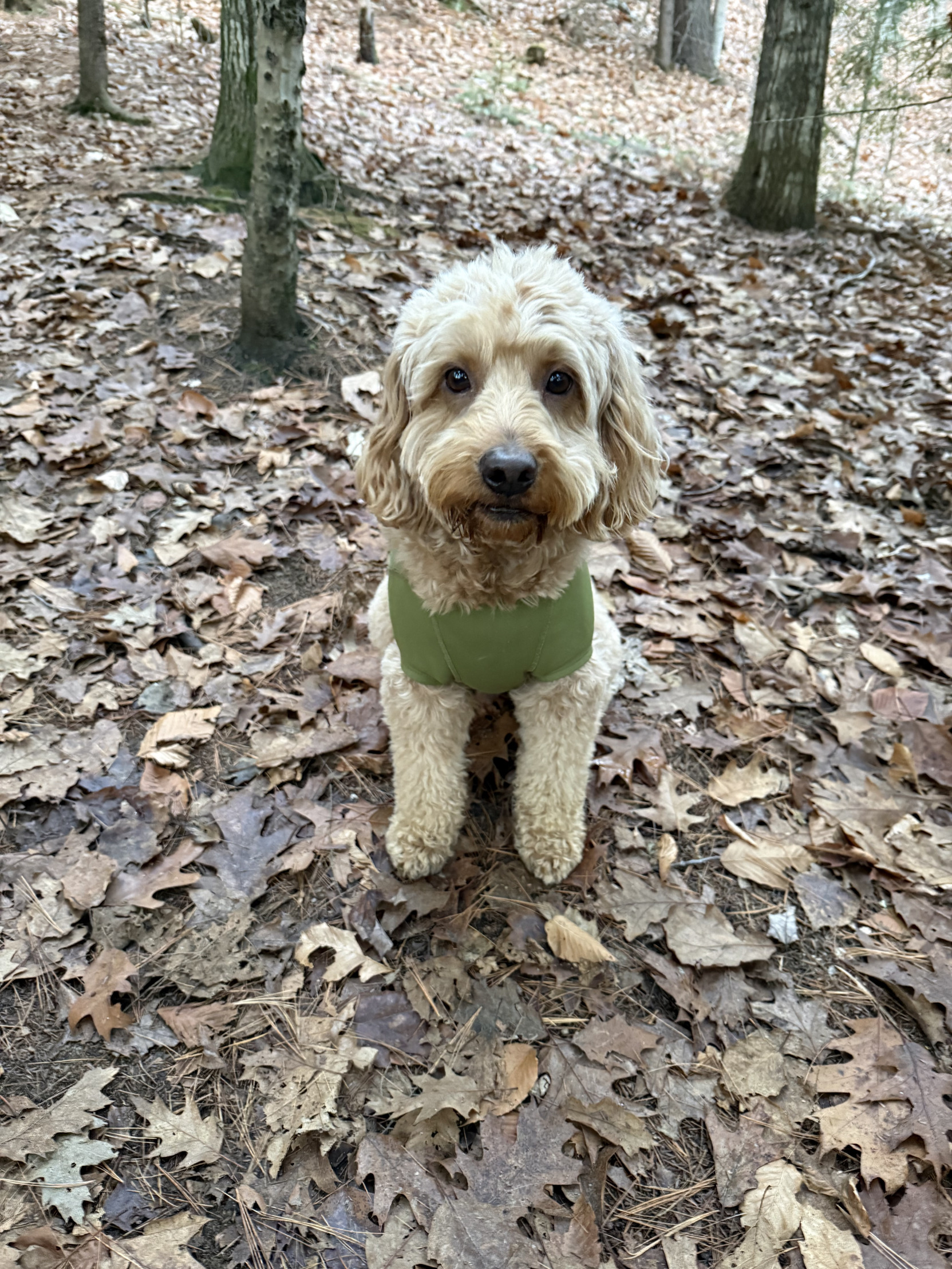 This is my excited face. Blank Meme Template