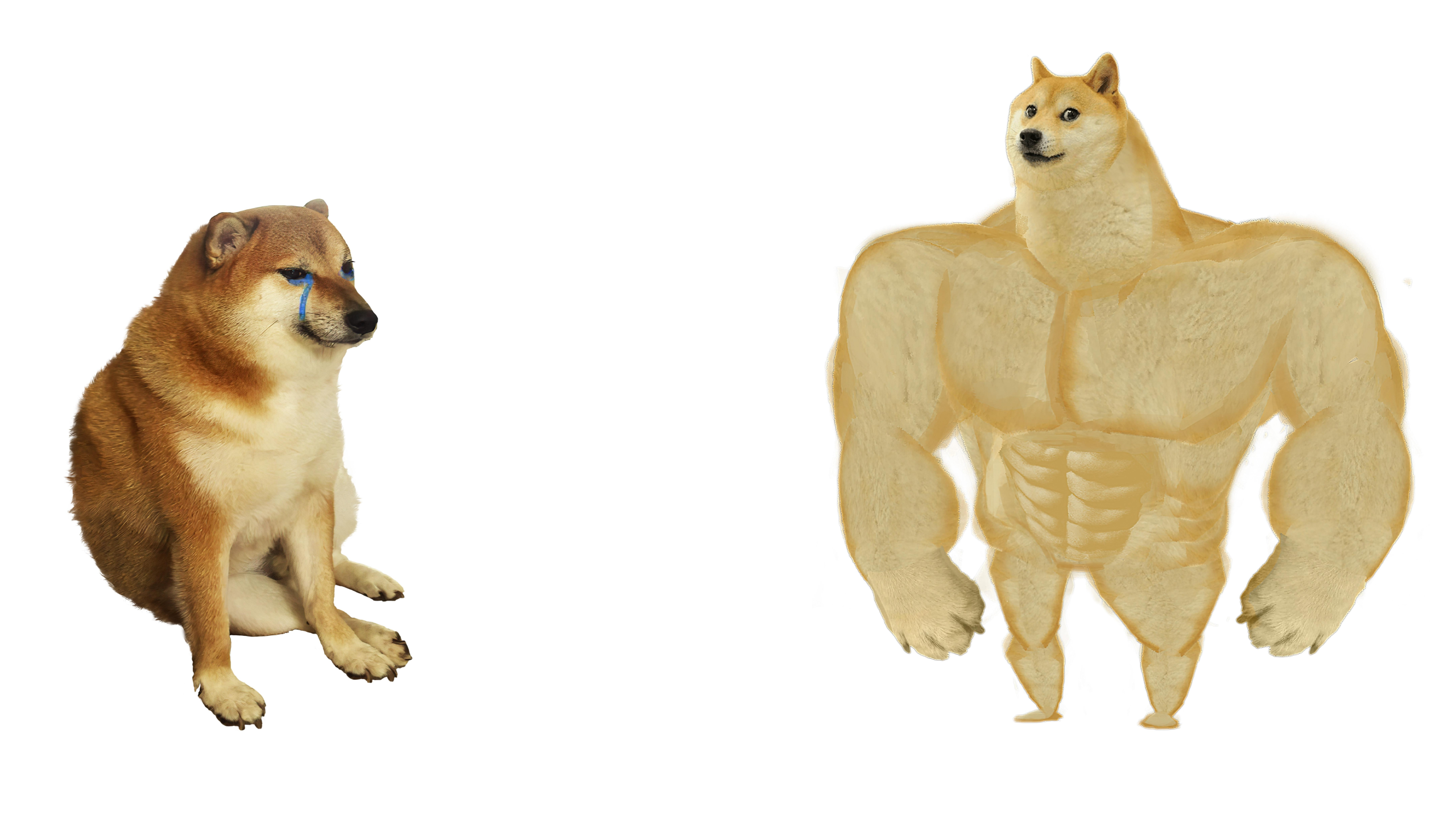 weak doge strong doge (flipped) Blank Meme Template