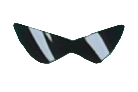 Squirtle Gang Glasses Blank Meme Template