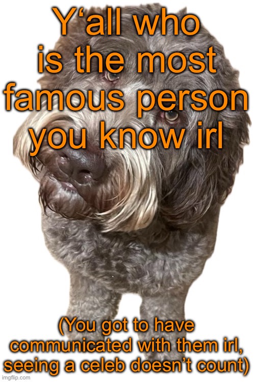For me it’s either the director of Bambi the Reckoning, the lead actor of Home Alone 5, or my grandma | Y‘all who is the most famous person you know irl; (You got to have communicated with them irl, seeing a celeb doesn’t count) | image tagged in norther's dog | made w/ Imgflip meme maker