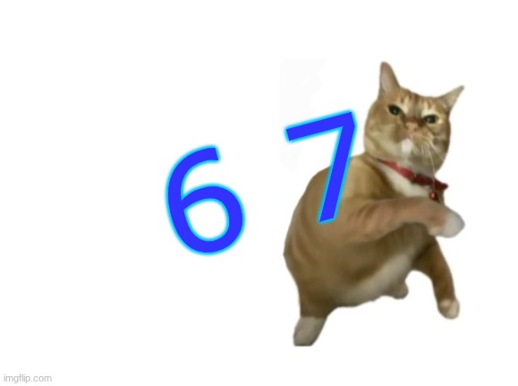 to piss y'all off | 6 7 | image tagged in throwing cat new | made w/ Imgflip meme maker