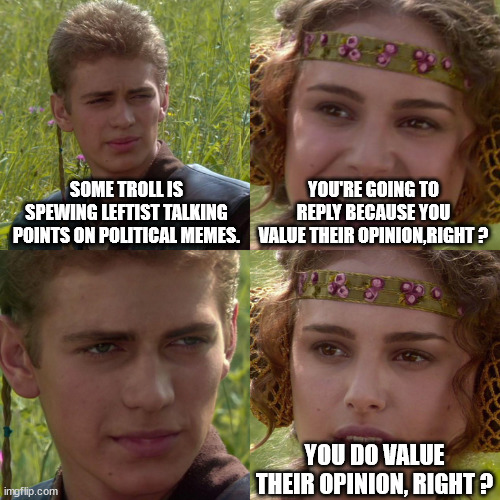 Valued Opinion | SOME TROLL IS SPEWING LEFTIST TALKING POINTS ON POLITICAL MEMES. YOU'RE GOING TO REPLY BECAUSE YOU VALUE THEIR OPINION,RIGHT ? YOU DO VALUE THEIR OPINION, RIGHT ? | image tagged in anakin padme 4 panel,political troll,triggered,uninformed,angry liberal,political parrot | made w/ Imgflip meme maker