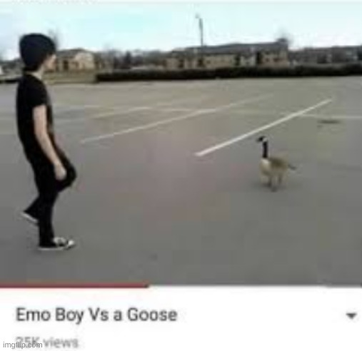 almost fought a goose once. fell down the stairs instead | made w/ Imgflip meme maker