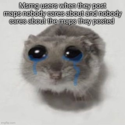 Sad hamster | Msmg users when they post maps nobody cares about and nobody cares about the maps they posted | image tagged in sad hamster | made w/ Imgflip meme maker