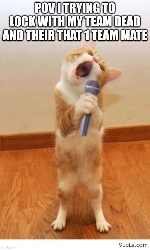 fr | POV I TRYING TO LOCK WITH MY TEAM DEAD AND THEIR THAT 1 TEAM MATE | image tagged in cat singer | made w/ Imgflip meme maker