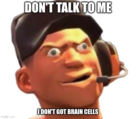 DONT TALK TO ME I DONT HAVE BRAIN CELLS | DON'T TALK TO ME; I DON'T GOT BRAIN CELLS | image tagged in tf2 scout | made w/ Imgflip meme maker