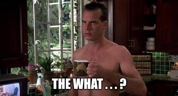 Did you covid-19 in this? | THE WHAT . . . ? | image tagged in did you covid-19 in this | made w/ Imgflip meme maker