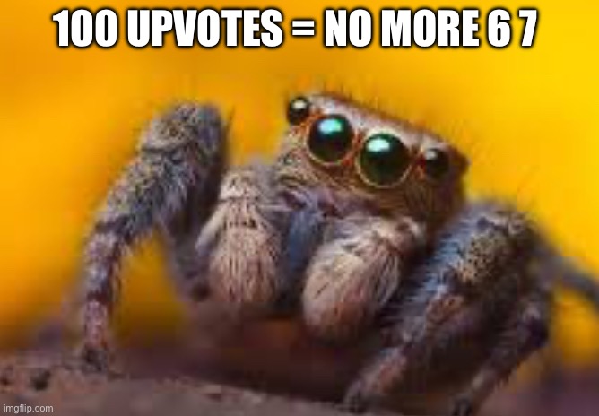 spider | 100 UPVOTES = NO MORE 6 7 | image tagged in spider | made w/ Imgflip meme maker