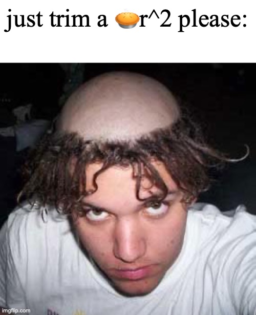 bad haircut | just trim a 🥧r^2 please: | image tagged in bad haircut | made w/ Imgflip meme maker
