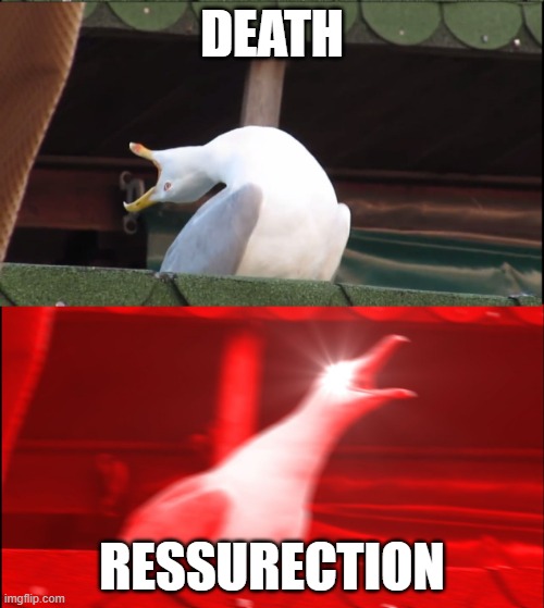 Screaming goose | DEATH; RESSURECTION | image tagged in screaming goose | made w/ Imgflip meme maker