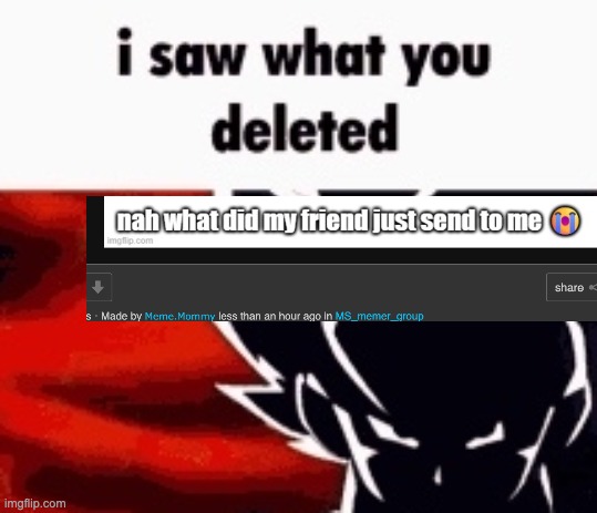 i saw what you deleted | image tagged in i saw what you deleted | made w/ Imgflip meme maker
