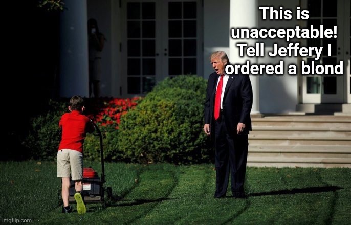 Trump Lawn Mower | This is unacceptable!
Tell Jeffery I ordered a blond | image tagged in trump lawn mower,scumbag republicans,terrorists,trailer trash,jeffrey epstein,pedophiles | made w/ Imgflip meme maker