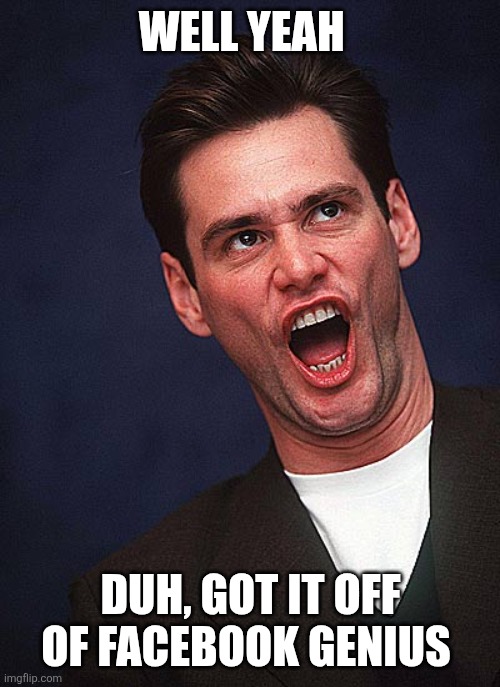jim carrey duh  | WELL YEAH DUH, GOT IT OFF OF FACEBOOK GENIUS | image tagged in jim carrey duh | made w/ Imgflip meme maker