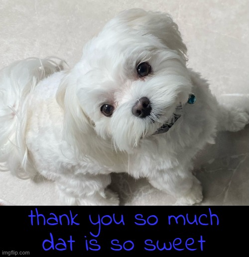 thank you so much
dat is so sweet | made w/ Imgflip meme maker