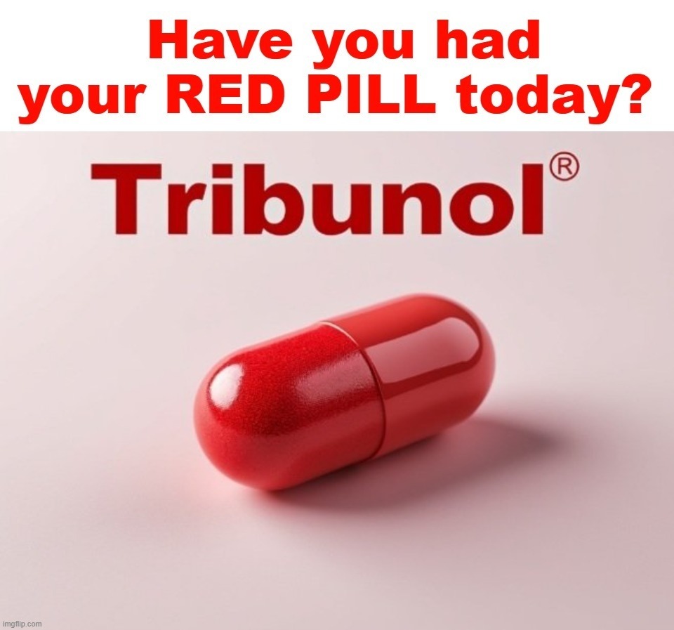 Have you had your RED PILL today? | image tagged in red pill blue pill,matrix morpheus,military tribunals,treason,sedition,hanging | made w/ Imgflip meme maker