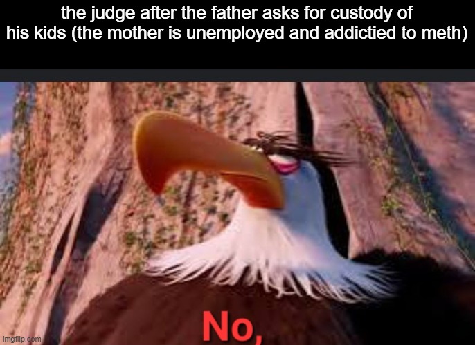 Mighty eagle says no, | the judge after the father asks for custody of his kids (the mother is unemployed and addictied to meth) | image tagged in mighty eagle says no | made w/ Imgflip meme maker