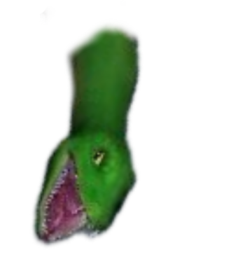 Xavier snake Blank Meme Template