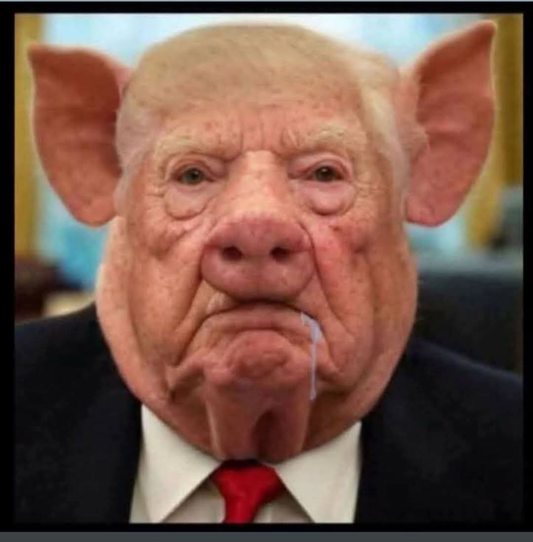 High Quality Piggy Blank Meme Template